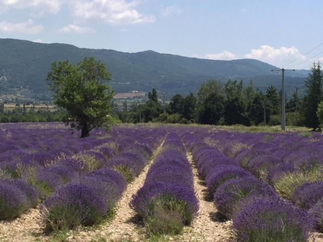 Logis Hotel du Midi Salon-de-Provence Buitenkant foto